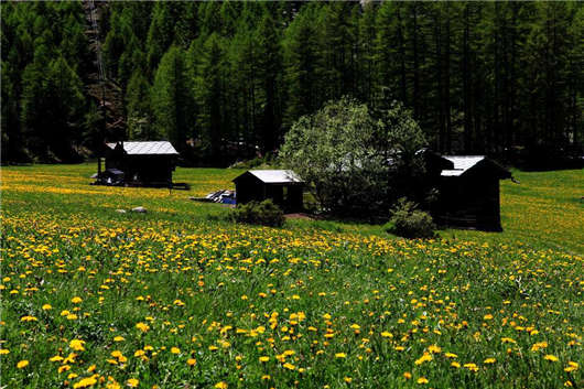 高含量文憑,優秀教育體制,德國留學為您帶來不一樣的體驗! 高含量文憑,優秀教育體制,德國留學為您帶來不一樣的體驗!