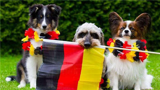 投資移民德國開銷大不大?移民德國申請要求怎么樣? 投資移民德國開銷大不大?移民德國申請要求怎么樣?