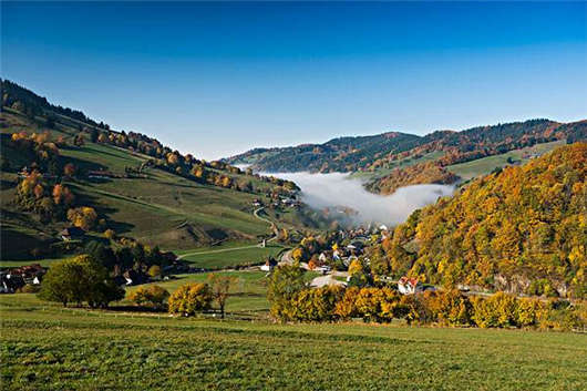 德國移民后的福利不止是父母津貼，還有經濟援助