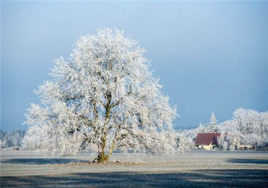 <a style='color:#268bd1;cursor:pointer;' href='/qzlx.html'>德國簽證留學</a>攻略:十大醫學學院(上) 德國簽證留學攻略:十大醫學學院(上)