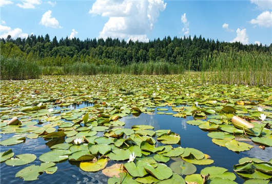 歐洲難民為何會(huì)如此青睞德國哪?原因在這(上) 歐洲難民為何會(huì)如此青睞德國哪?原因在這(上)