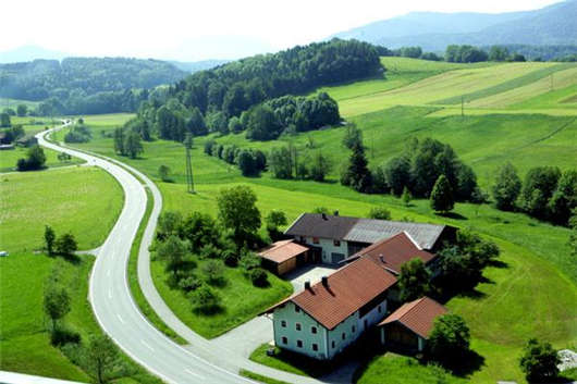 周末發生電動滑板車事故后再次受傷