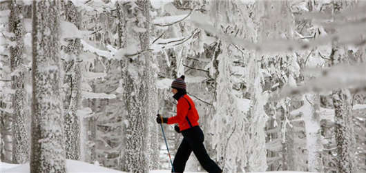 冬季低山脈運(yùn)動(dòng)