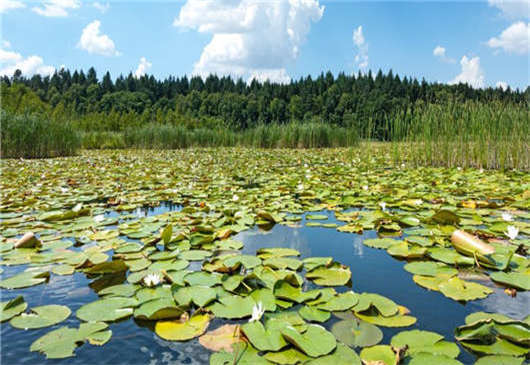 德國生態(tài)之保護區(qū)介紹 德國生態(tài)之保護區(qū)介紹