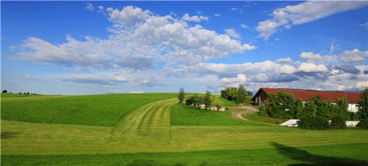 德國環境研究之電動汽車在運輸中的能量轉換中擊敗氫 德國環境研究之電動汽車在運輸中的能量轉換中擊敗氫