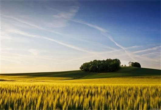 德國的個人醫療保險制度有必要訂購嗎? 德國的個人醫療保險制度有必要訂購嗎?