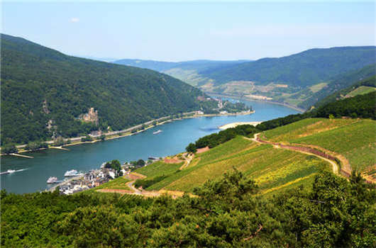 如何在德國獲得工作許可證