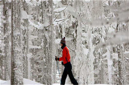 留學德國畢業難，解決這些您就可以成功！