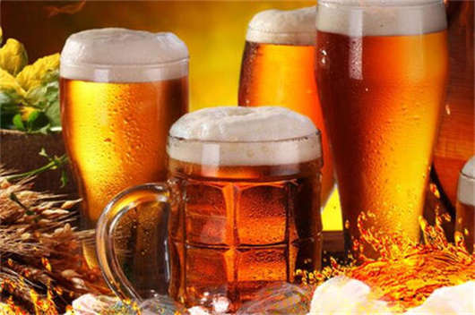 德國啤酒有多少種類嗎？