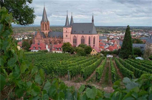 入籍優(yōu)劣對(duì)比,您一定要了解一下! 入籍優(yōu)劣對(duì)比,您一定要了解一下!