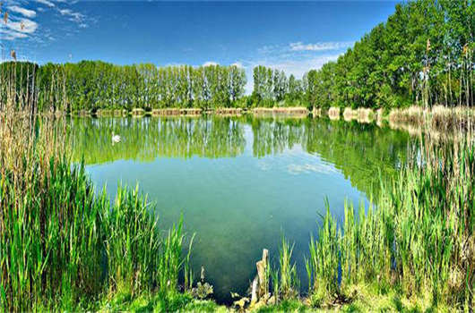 移民政策變化，未來(lái)這兩種人收益