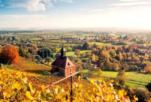 移民有哪些優(yōu)勢?如何移民? 移民有哪些優(yōu)勢?如何移民?