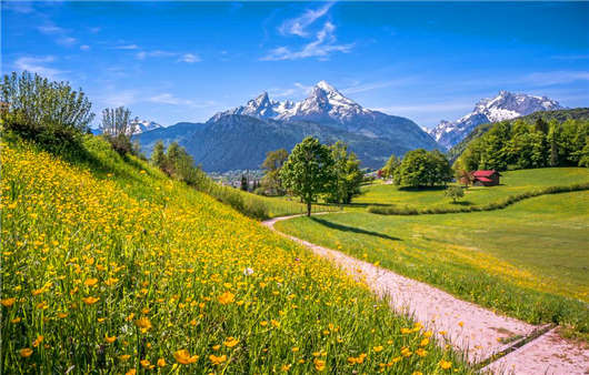 申請德國移民常見問題解讀，解決您的移民疑惑！