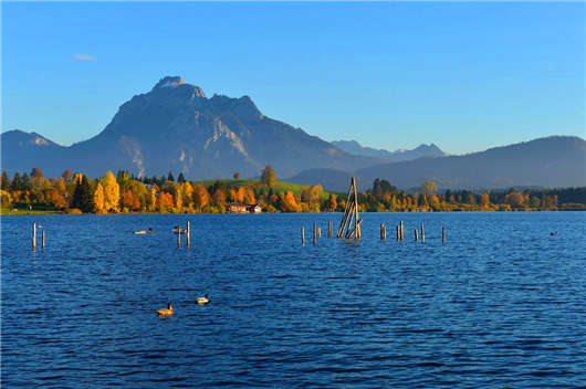 2020年3月1日，新德國移民政策開始實施