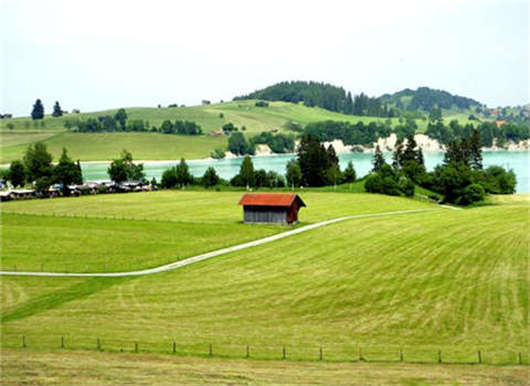 <a style='color:#268bd1;cursor:pointer;' href='/ymfs.html'>德國移民方式</a>之德國結(jié)婚移民介紹 德國移民方式之德國結(jié)婚移民介紹