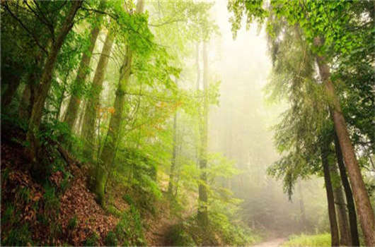 德國(guó)移民入籍條件介紹,該如何申請(qǐng)德國(guó)永居那? 德國(guó)移民入籍條件介紹,該如何申請(qǐng)德國(guó)永居那?