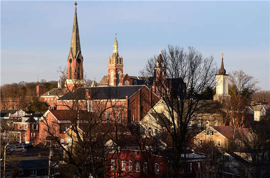 1595918932195536.jpg 29.jpg