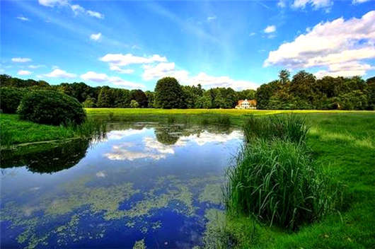 1597635351831718.jpg 24.jpg