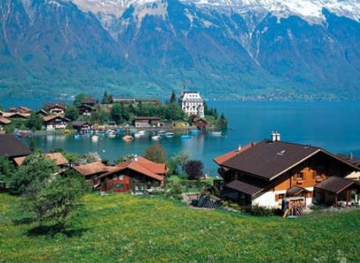 1629447665142004.jpg 1.jpg