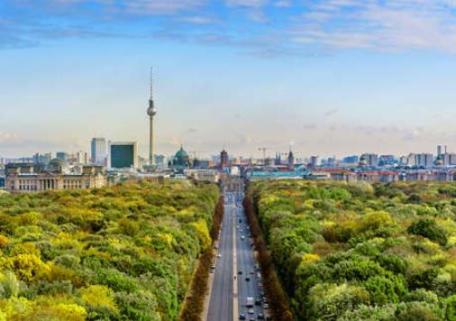 1657252344569525.jpg 1.jpg