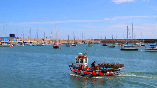 1702540092139440.jpg pec25d.jpg